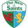 The New Saints